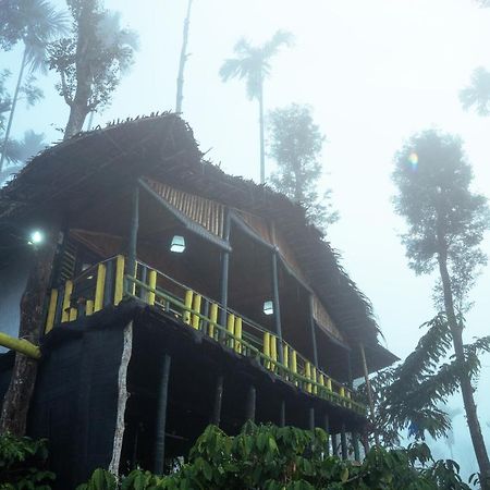 واياناد The Mountain Tree Home المظهر الخارجي الصورة