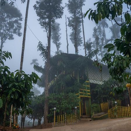 واياناد The Mountain Tree Home المظهر الخارجي الصورة