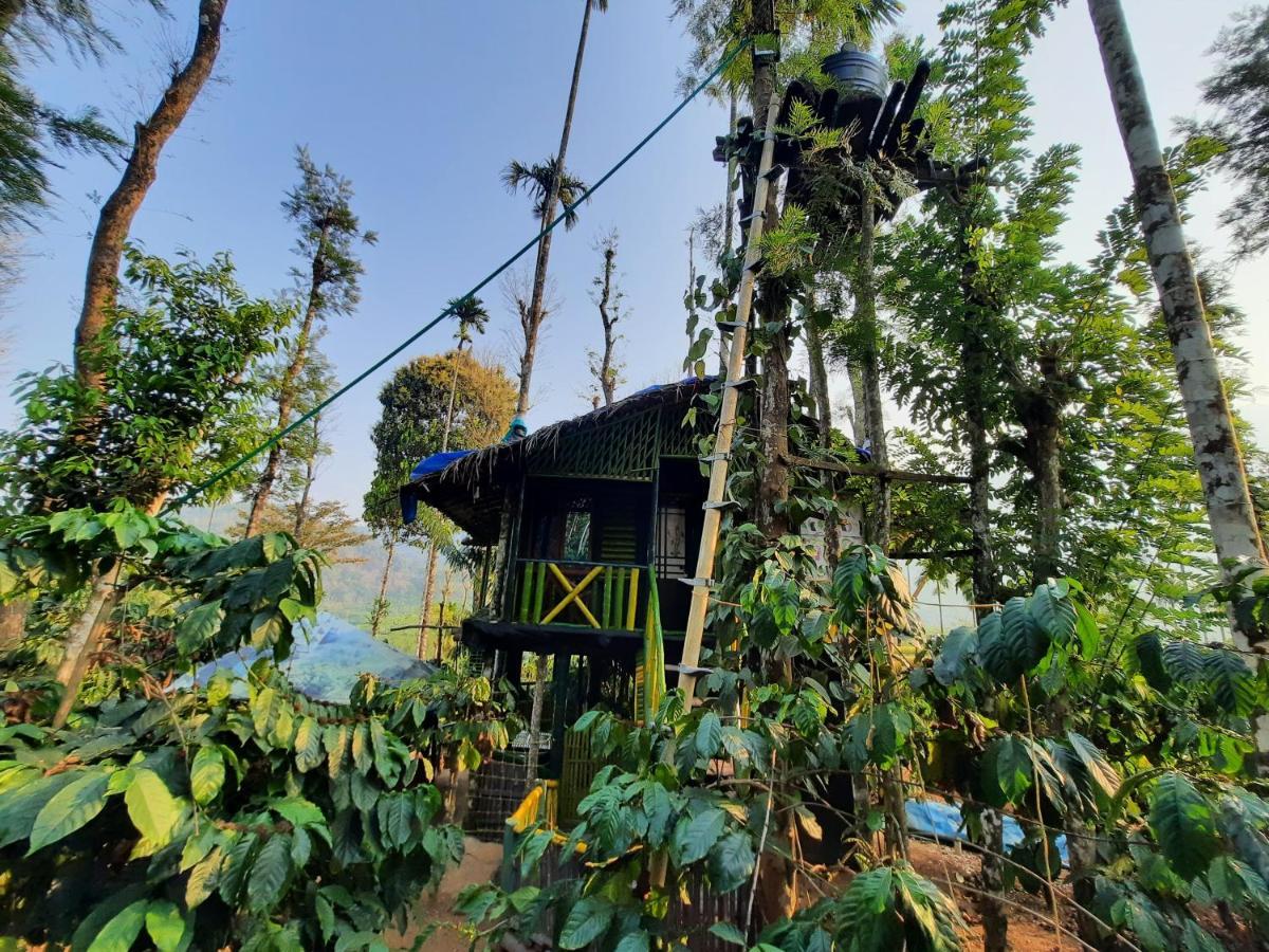 واياناد The Mountain Tree Home المظهر الخارجي الصورة