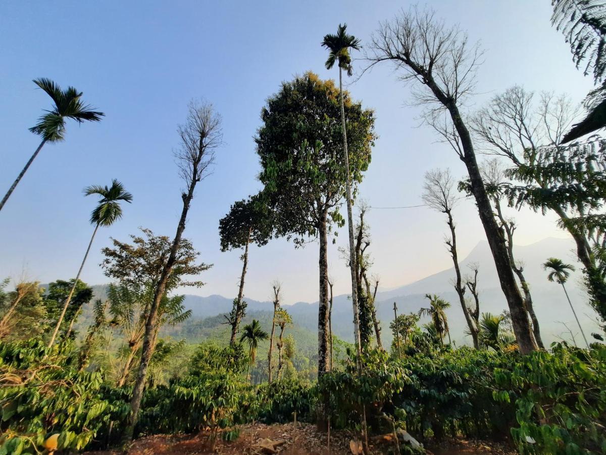 واياناد The Mountain Tree Home المظهر الخارجي الصورة