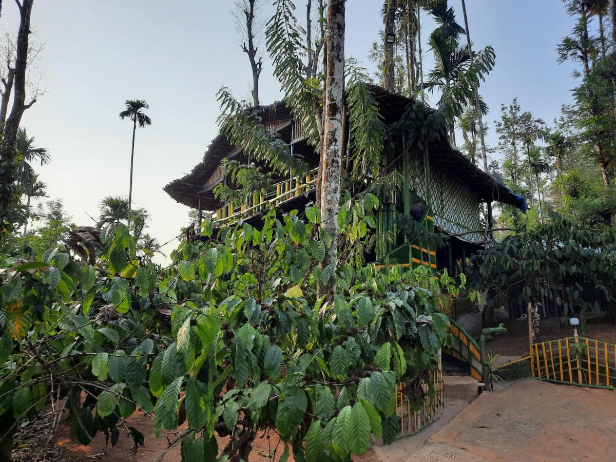 واياناد The Mountain Tree Home المظهر الخارجي الصورة