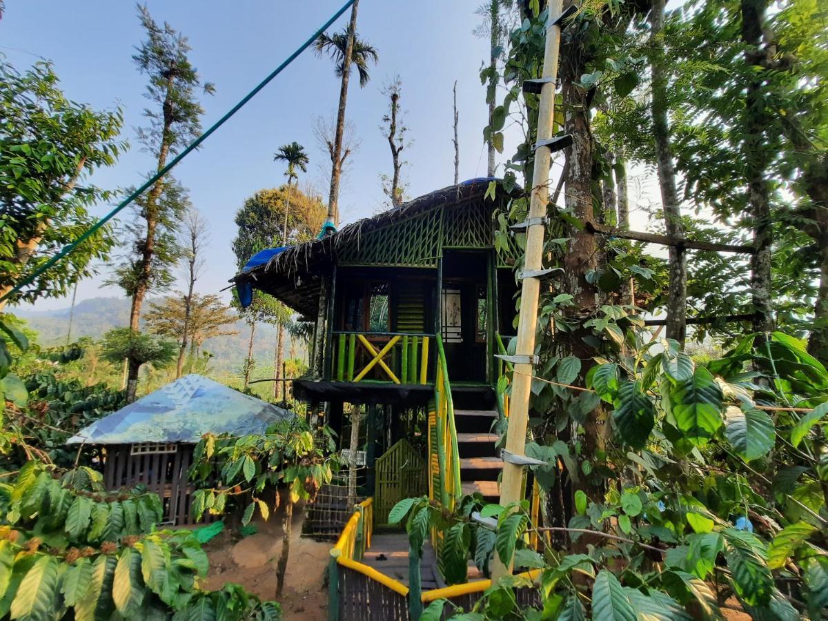 واياناد The Mountain Tree Home المظهر الخارجي الصورة