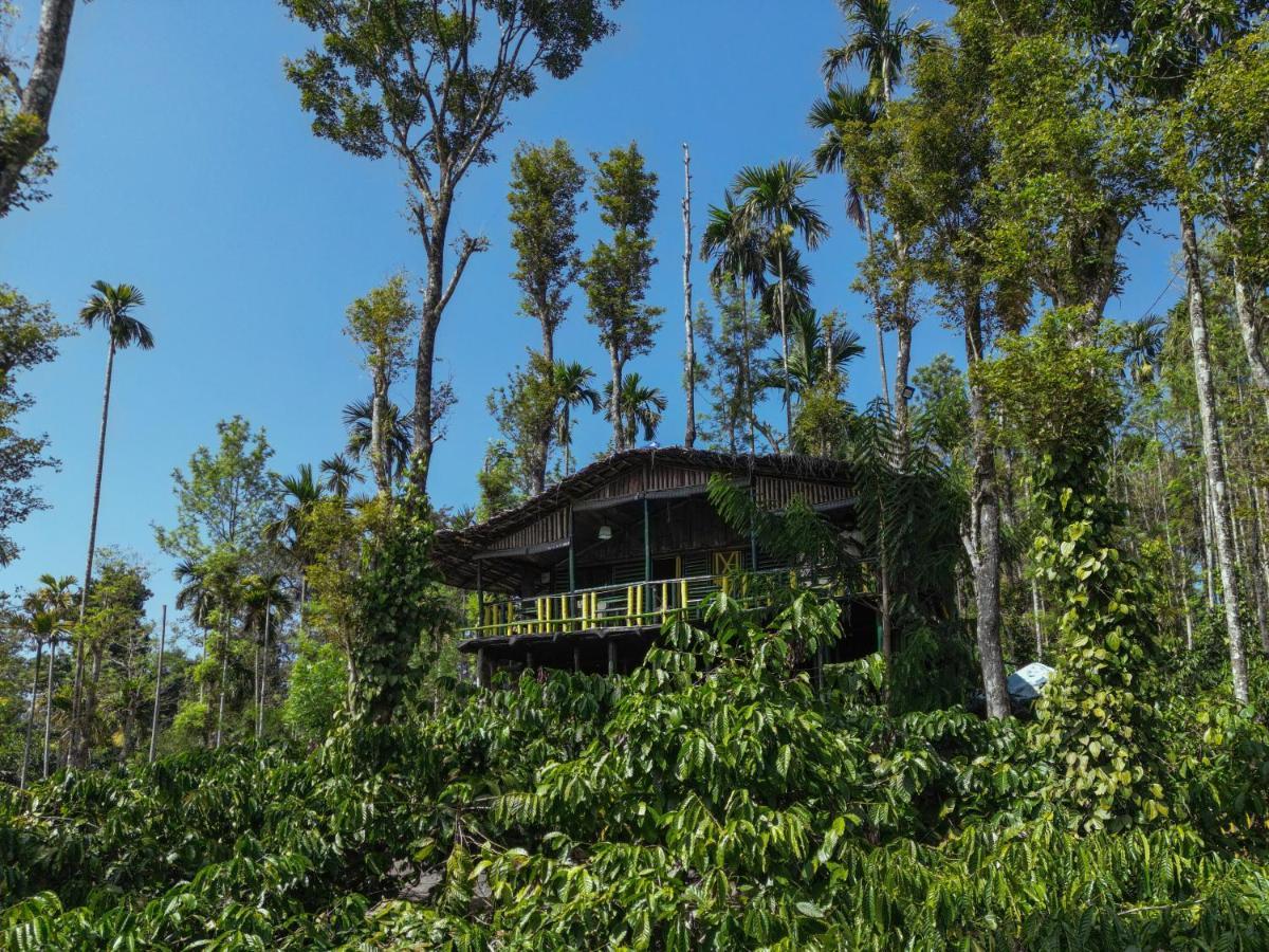 واياناد The Mountain Tree Home المظهر الخارجي الصورة