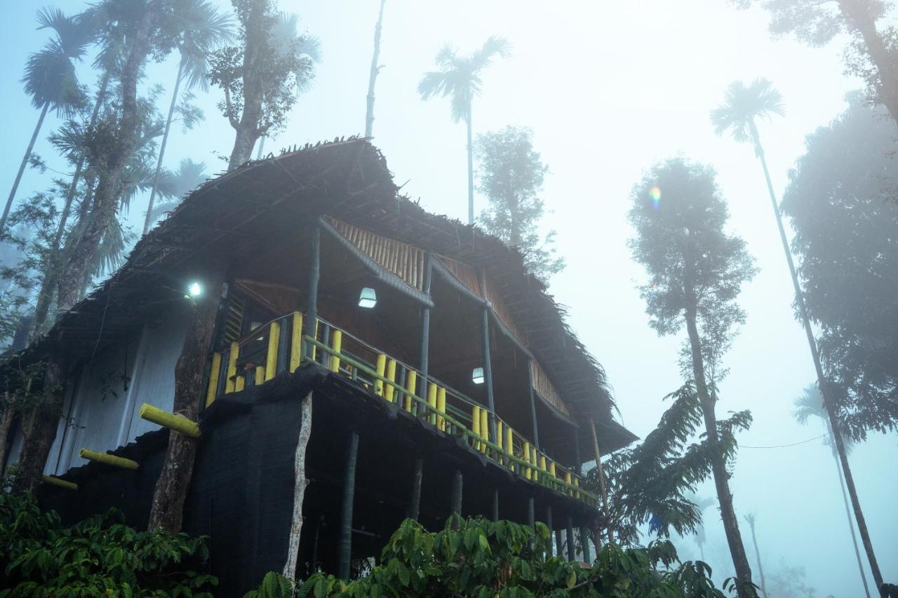 واياناد The Mountain Tree Home المظهر الخارجي الصورة