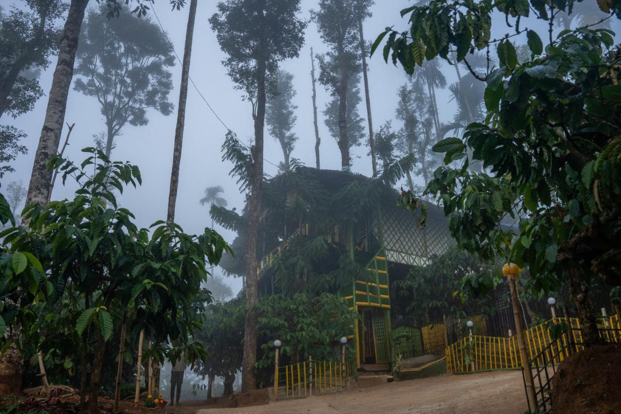 واياناد The Mountain Tree Home المظهر الخارجي الصورة