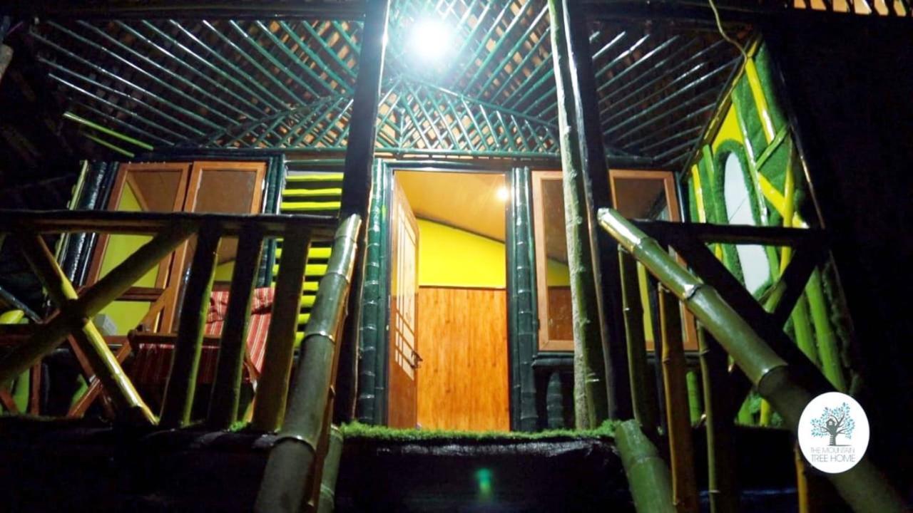 واياناد The Mountain Tree Home المظهر الخارجي الصورة