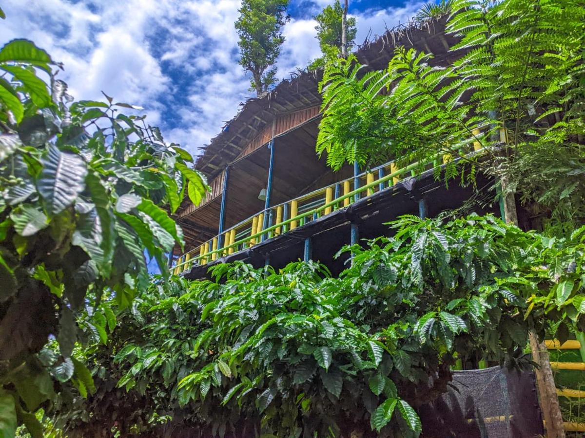 واياناد The Mountain Tree Home المظهر الخارجي الصورة