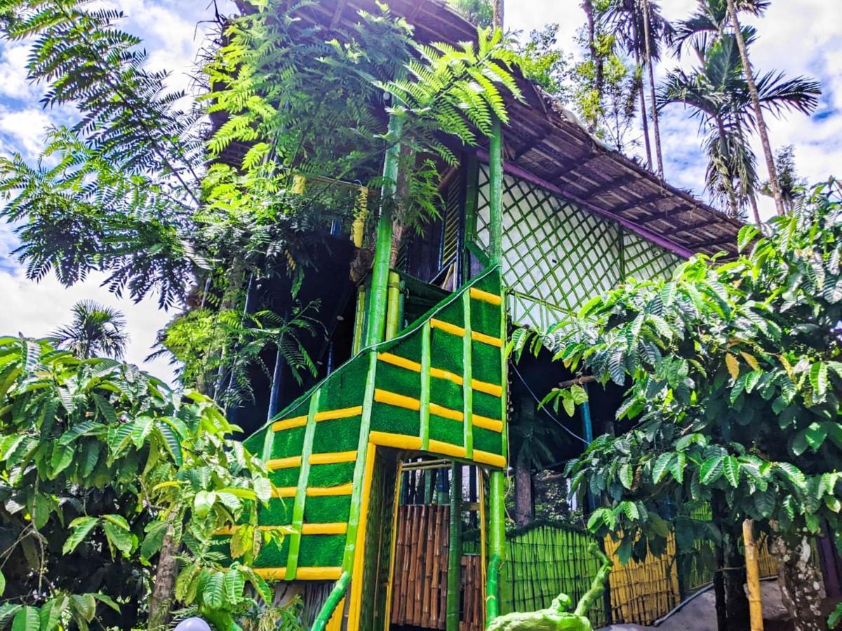 واياناد The Mountain Tree Home المظهر الخارجي الصورة